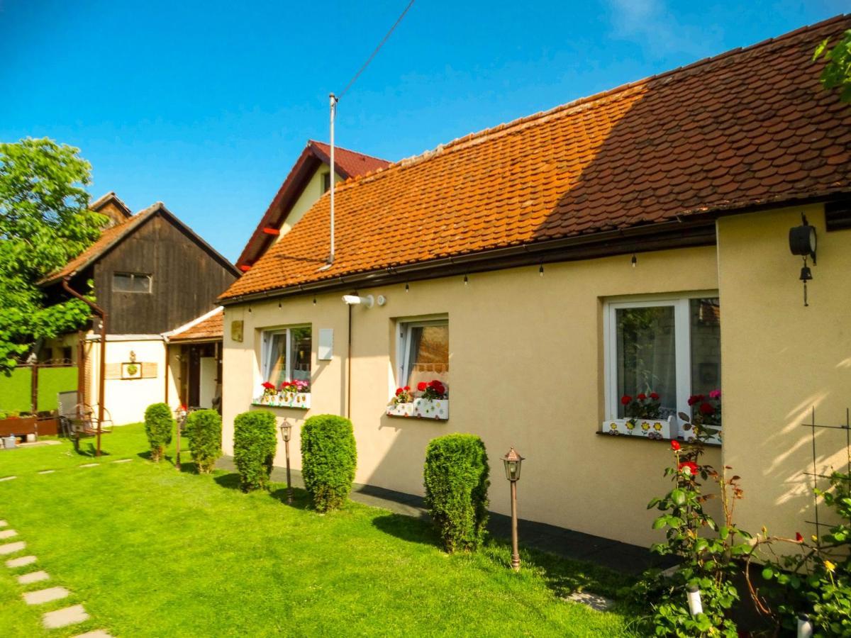 Casa Joy Villa Rîşnov Exterior foto